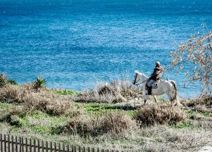 Te- Luxury Front Line Families Only Estepona